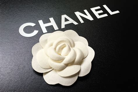 chanel camellia flower packaging|coco Chanel camellia flower.